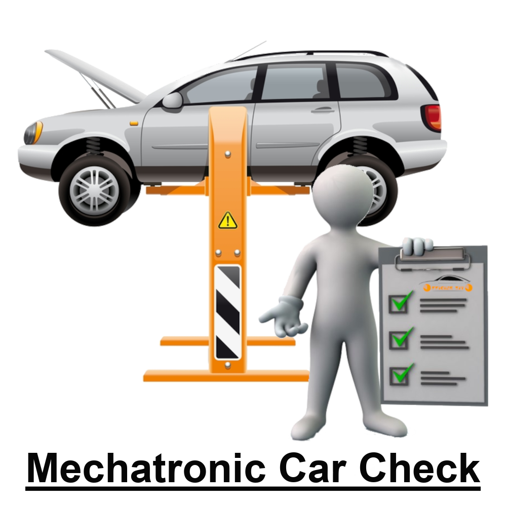 Mechatronic Car Check